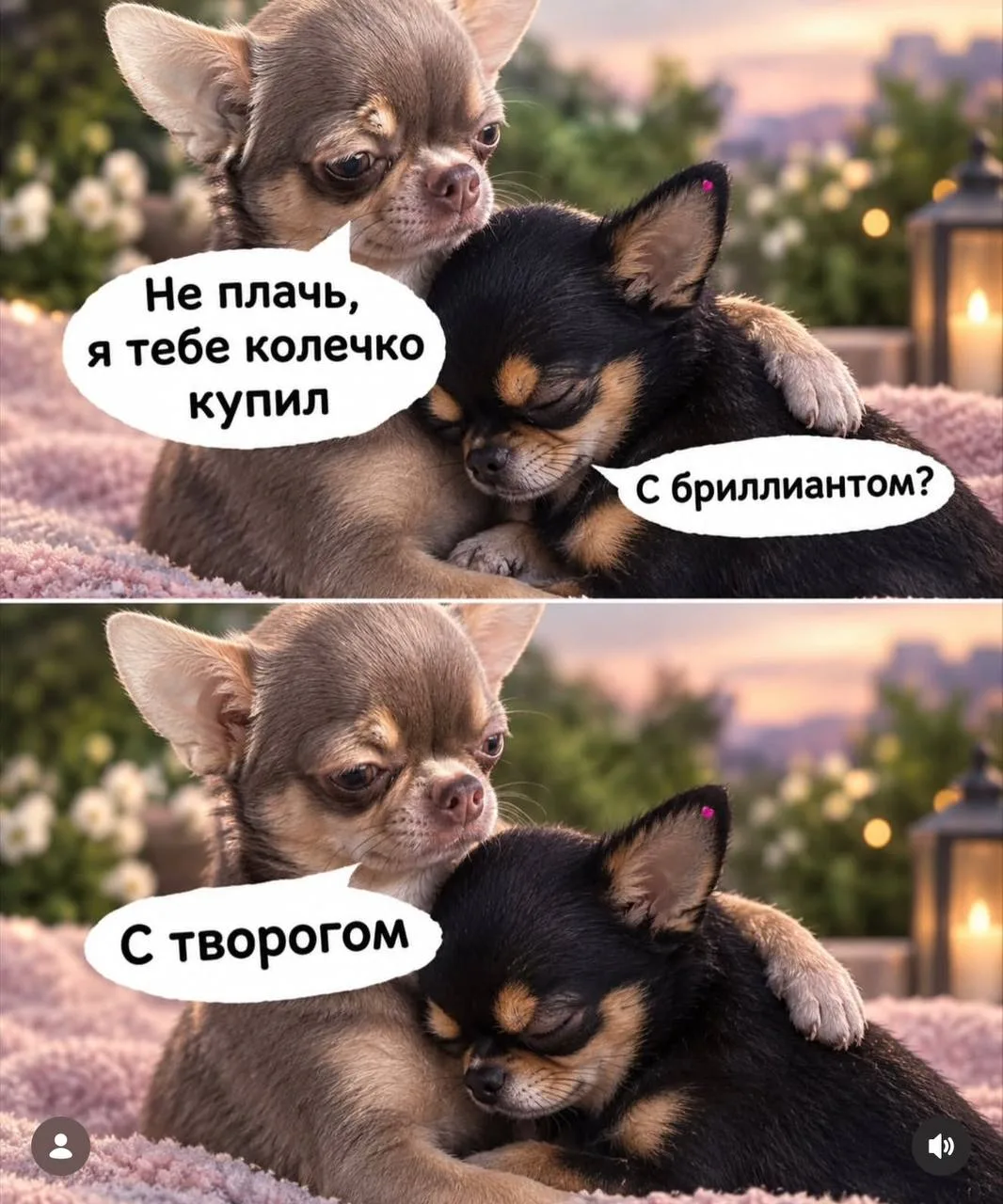 #мемдня
