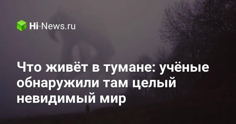 Что живёт в тумане и почему учёные всерьёз занялись этим погодным явлением