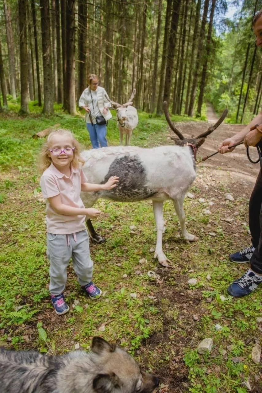 🦌 Знакомимся с северными оденями в заповеднике «Лесная избушка»  Во время экскурсии юные гости узнаю