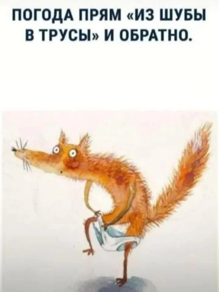 Смешно?😃 Жми лайк, пока не забыл. А подписка — чтобы не потерять того, кто поднимает тебе настроени