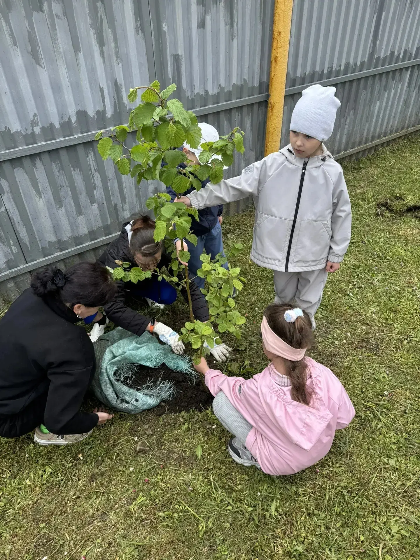 🌿 Сегодня в нашем детском саду прошел особенный тематический день, посвященный масштабной акции «Са