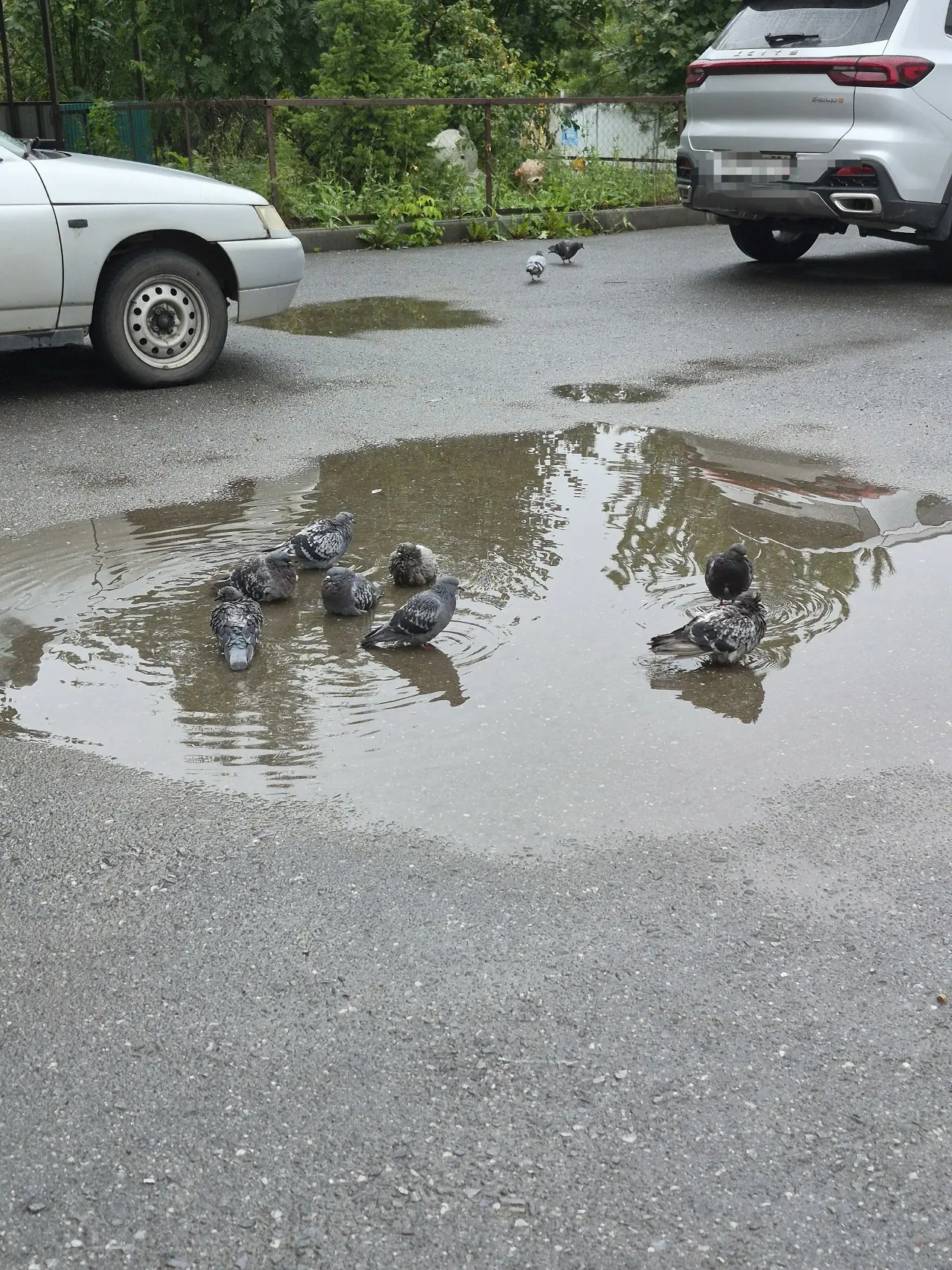 Прогноз погоды на выходные в Челябинской области☔