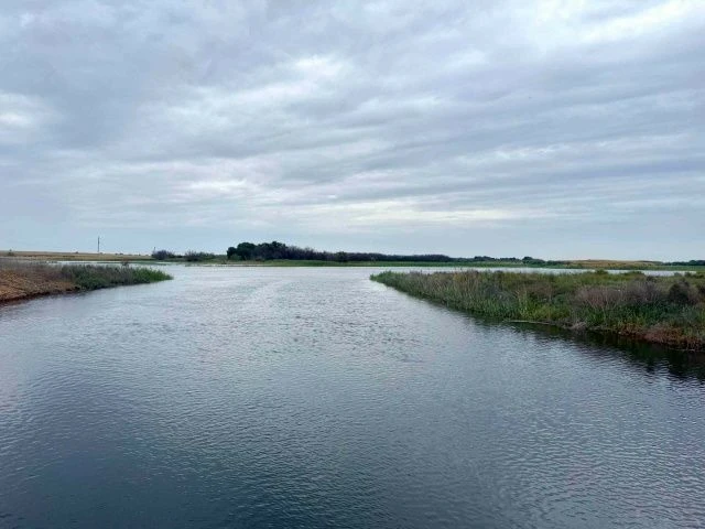 🌊 В Астраханской области установили границы водоохранных зон для 33 водных объектов