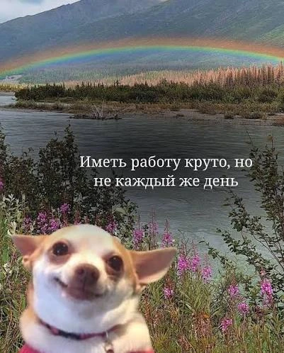 С понедельником💅✨💕🐣👑💰☀️