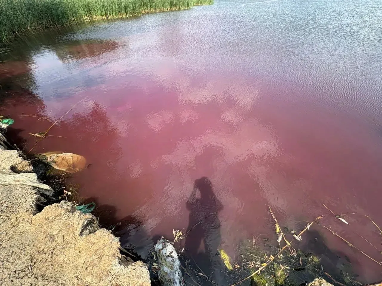 🔝В Котово Волгоградской области  местные жители бьют тревогу: вода в реке Малая Казанка окрасилась 