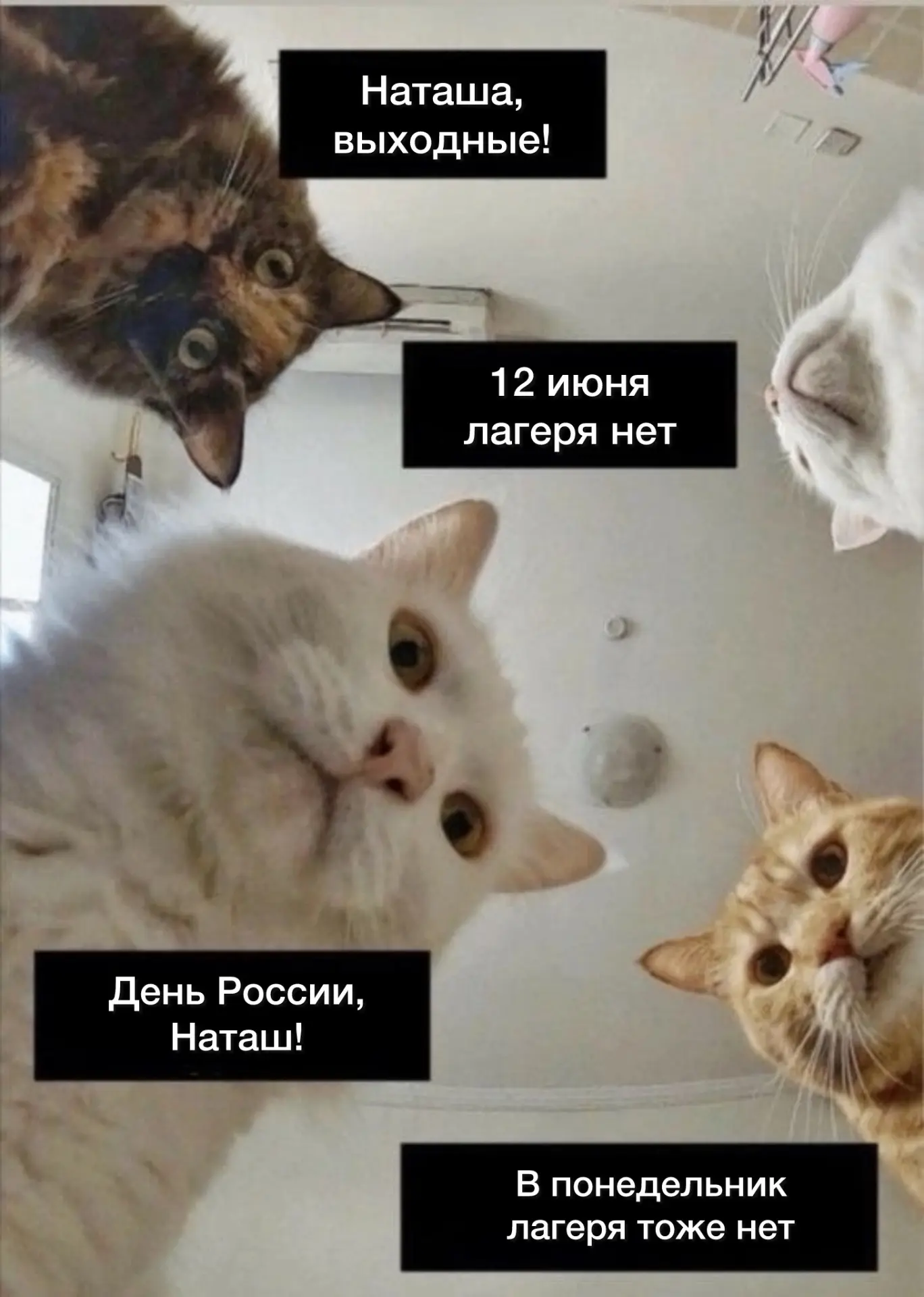 Лето — это не только лагерь, но и маленькие праздники в перерывах между яркими днями 

12 июня — важ