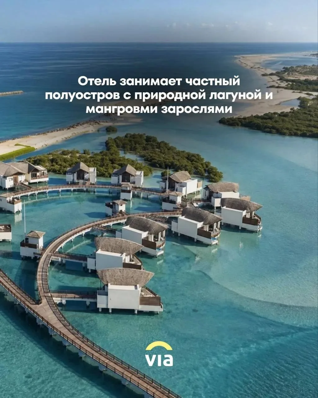 ОАЭ, но будто где-то на тропическом острове😍