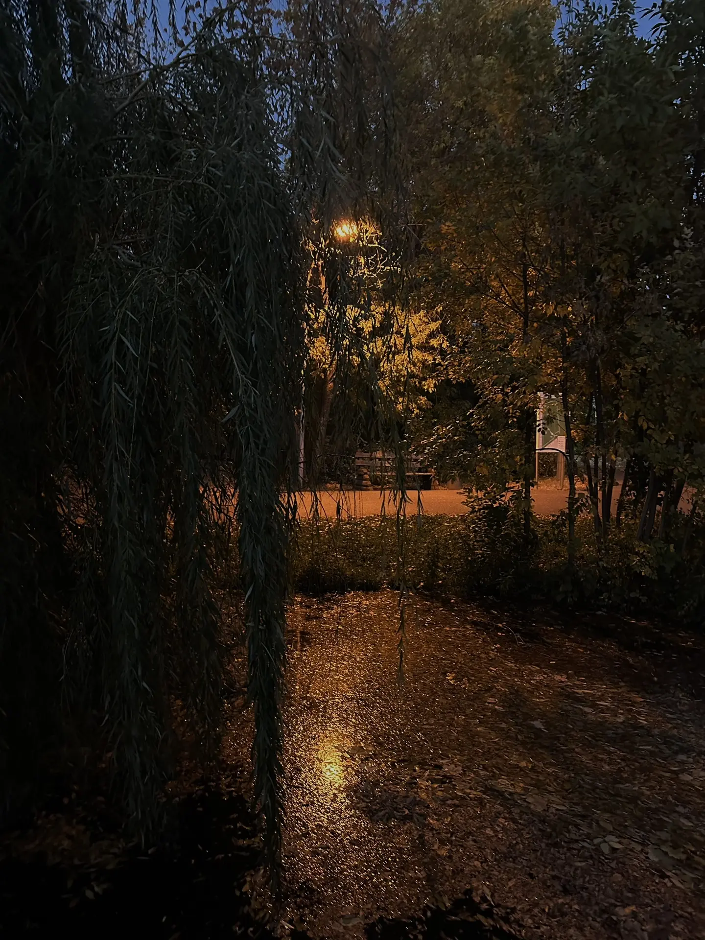 Доброй ночи, Оренбург 💙