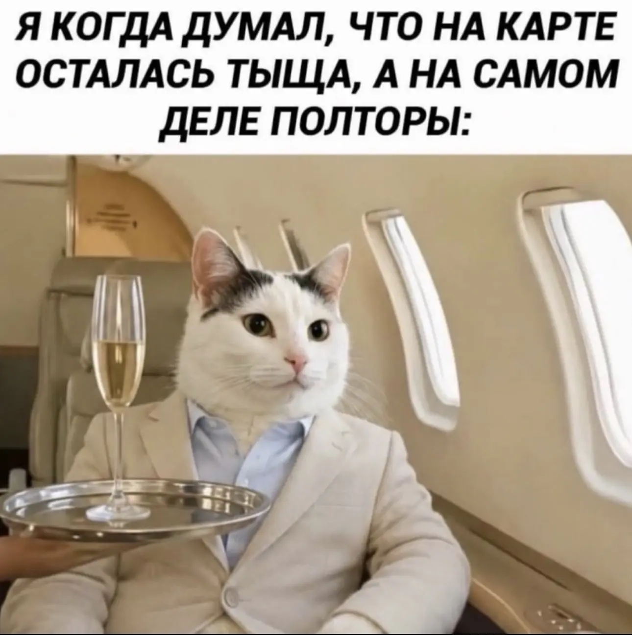 Это мамы, которые собрали детей в школу 😅