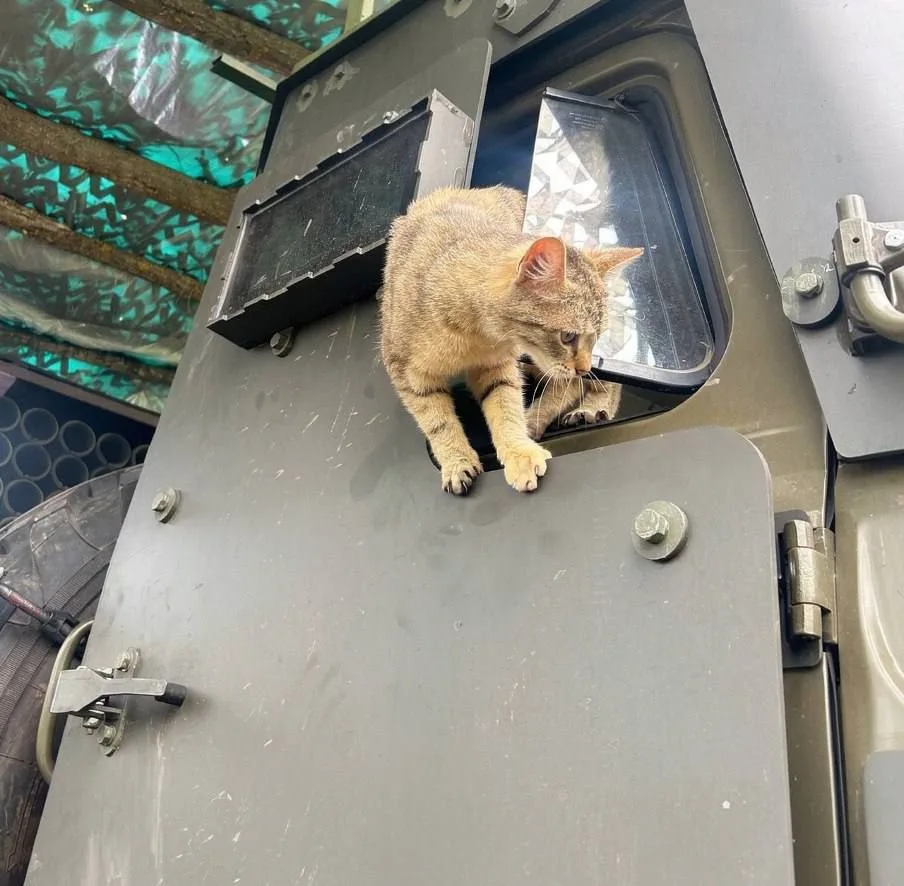 Зависть — это...