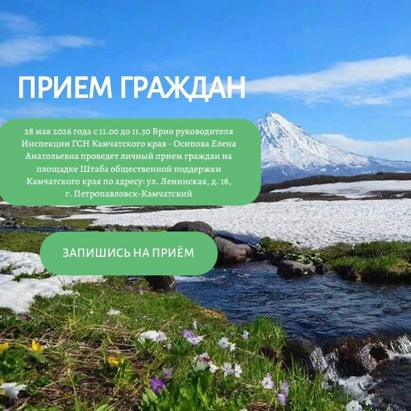 28 мая 2026 года с 11.00 до 11.30 Врио руководителя Инспекции ГСН Камчатского края - Ос...