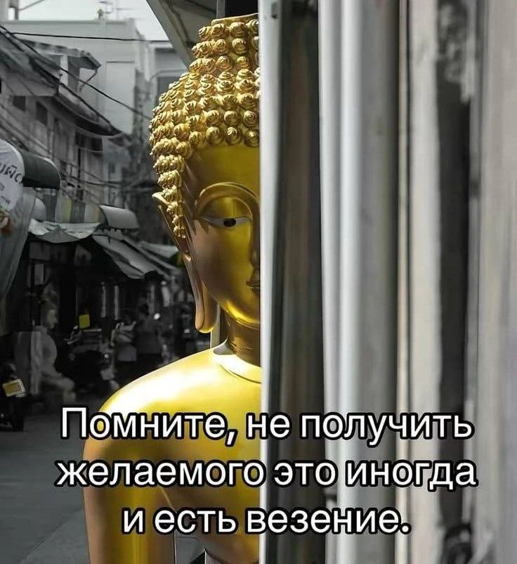 Изображение 1 к публикации «Ирена Понарошку»
