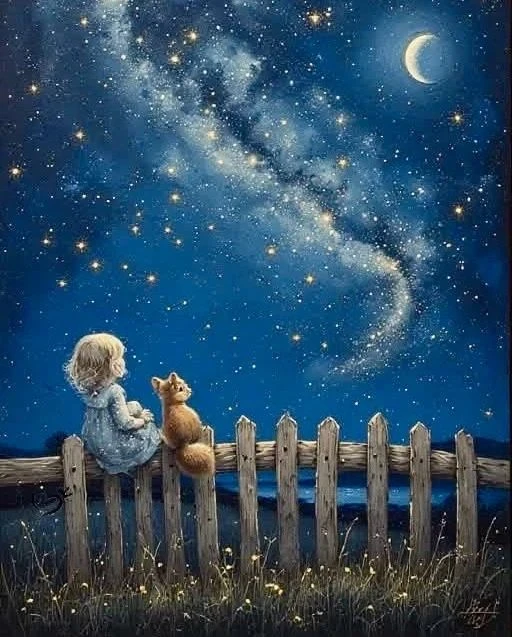 Доброй ночи 🌙