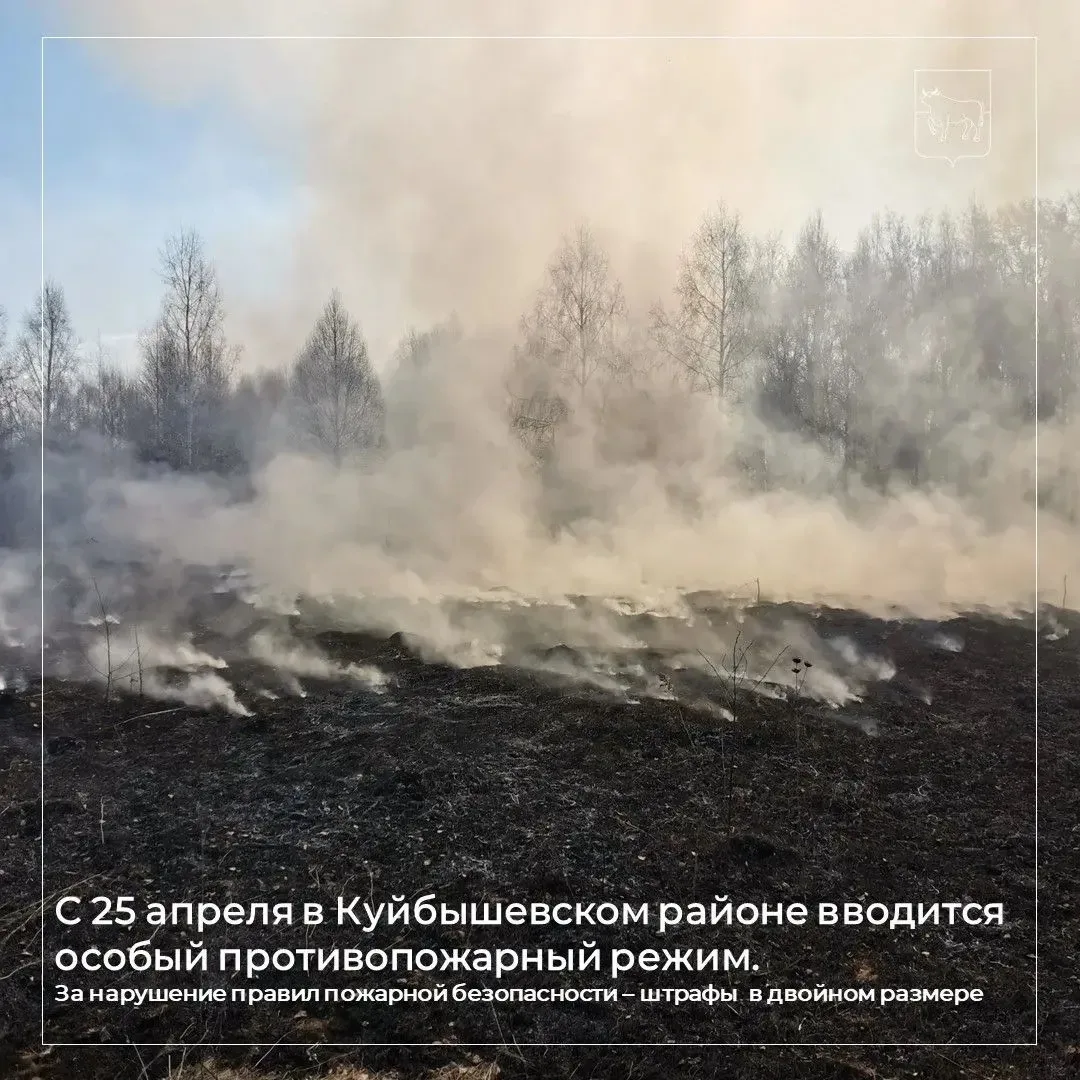 ⚡С 25 апреля в Куйбышевском районе вводится особый противопожарный режим⚡
