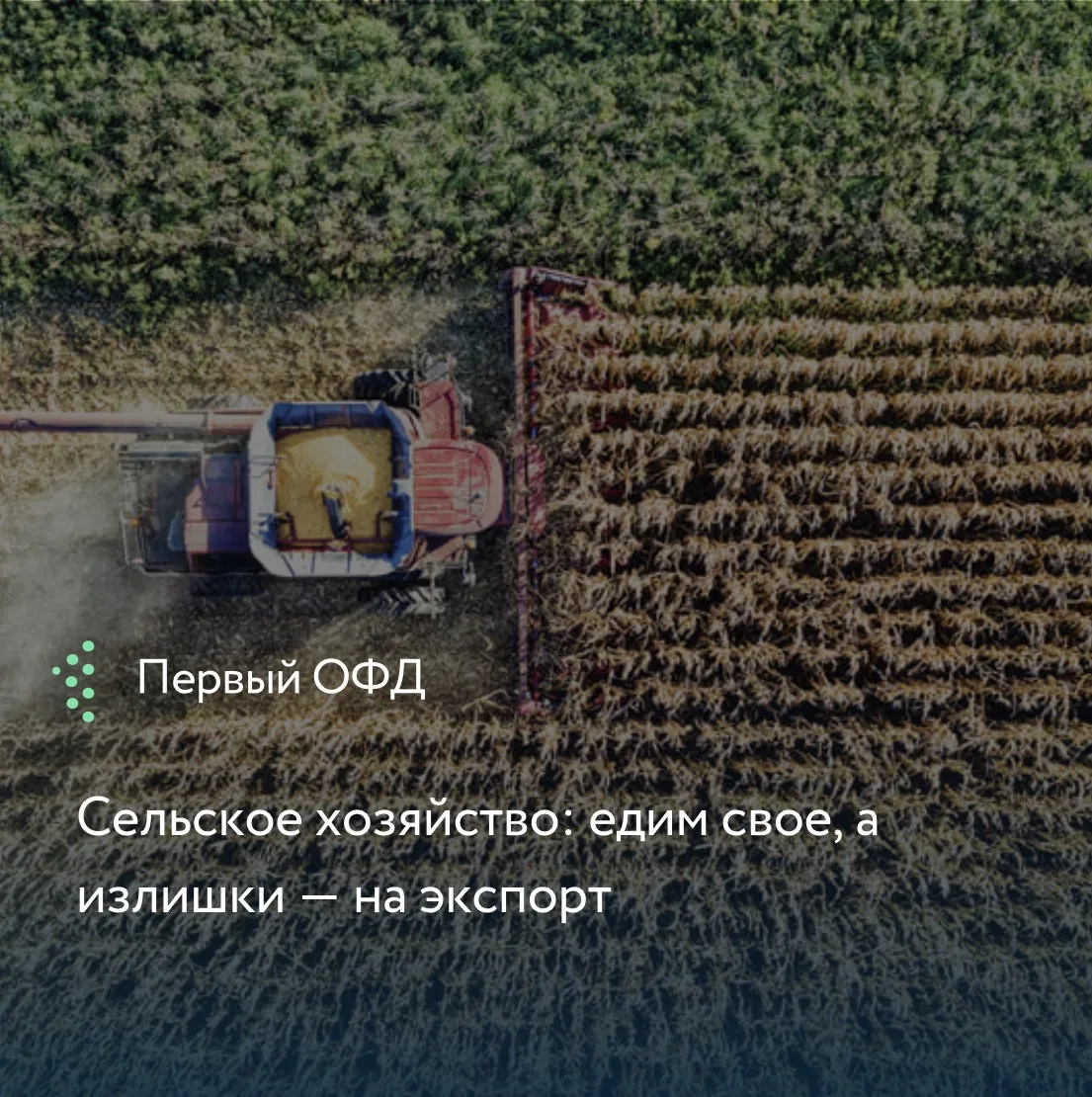 Минсельхоз отчитался по продбезопасности: мы полностью обеспечиваем себя сами! По зерну показатель 1