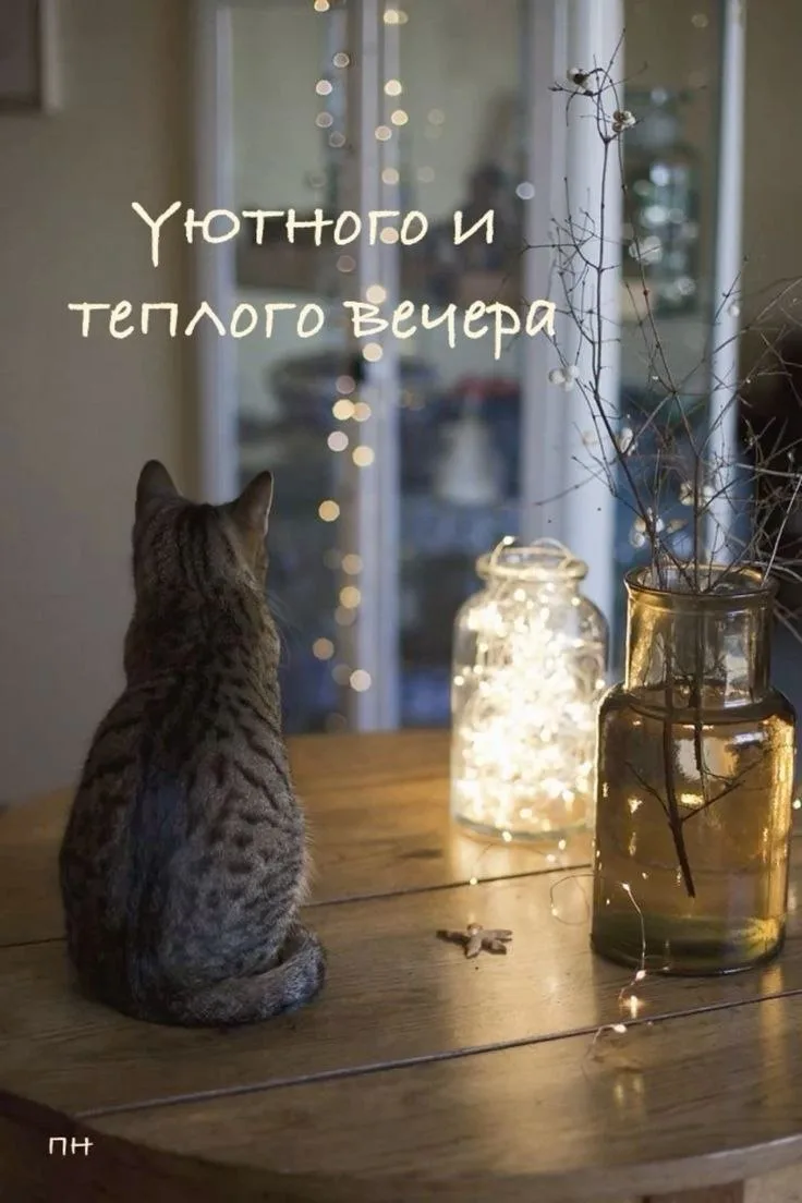 🥰 Оставляйте реакции, если понравилась открытка и делитесь с близкими ❤️

Лучшие Открытки в MAX