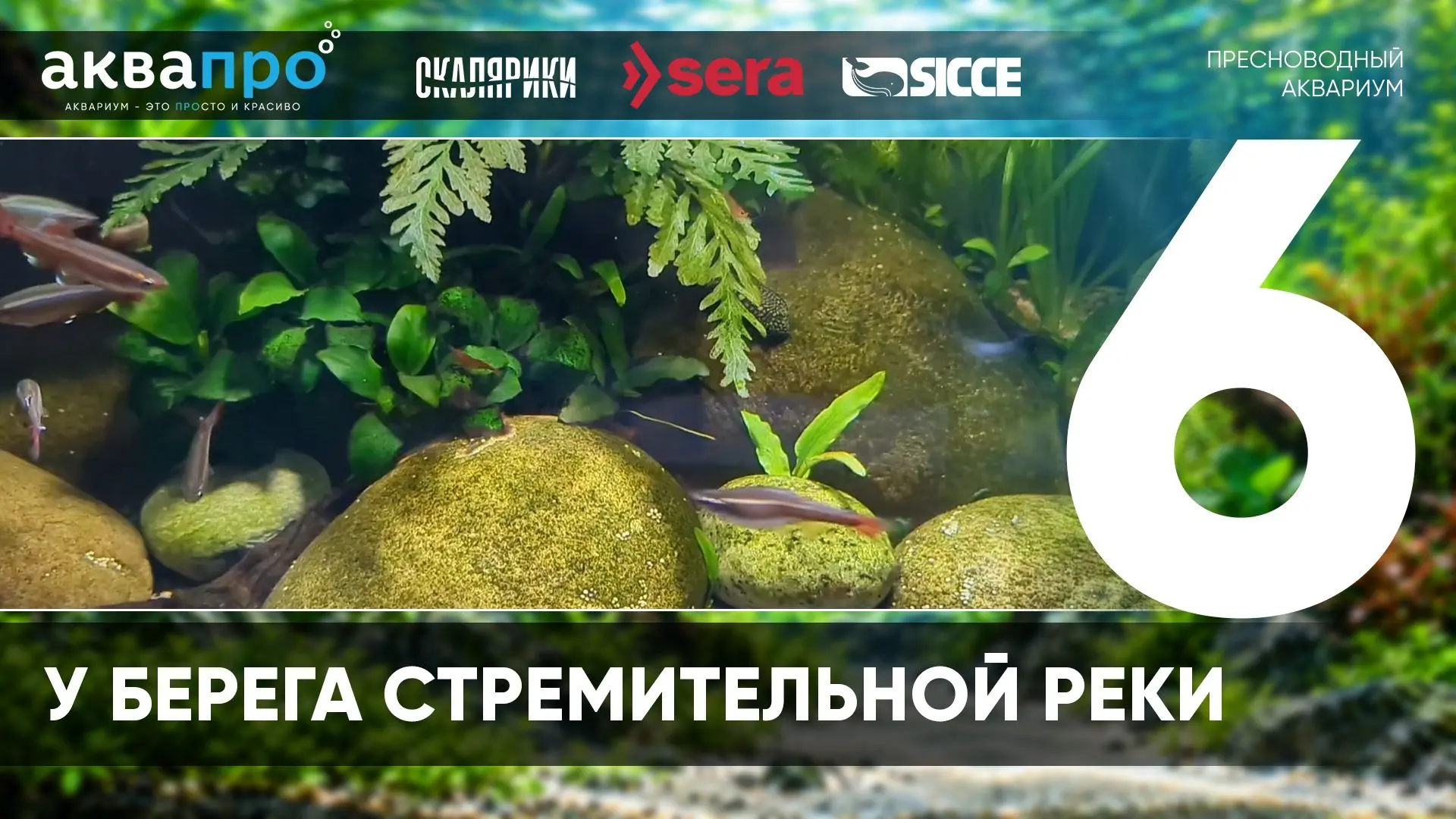 Фамилия Имя Отчество: Кемельбаев Тимур Файрузович