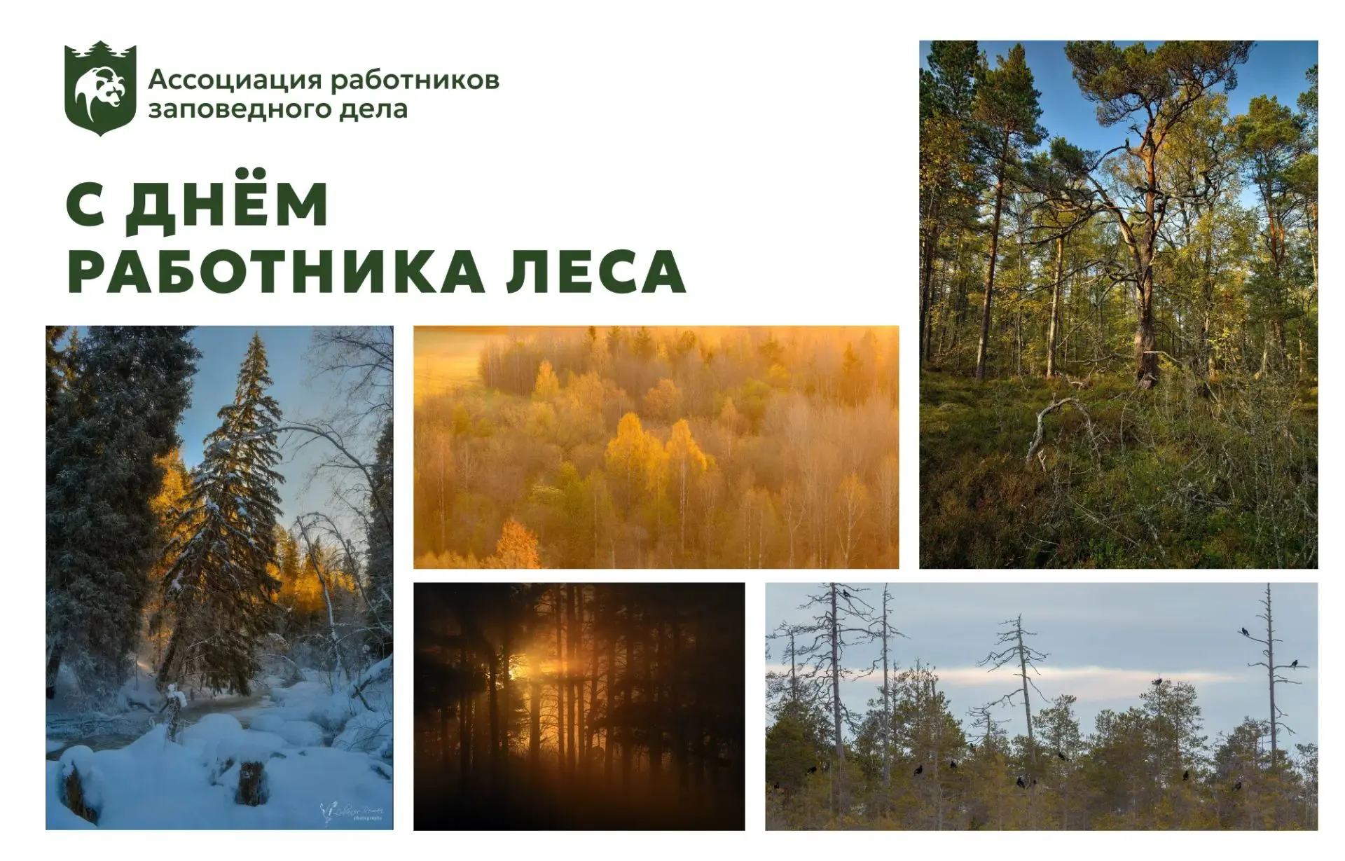 Сегодня третье воскресенье сентября, а значит — День работника леса.