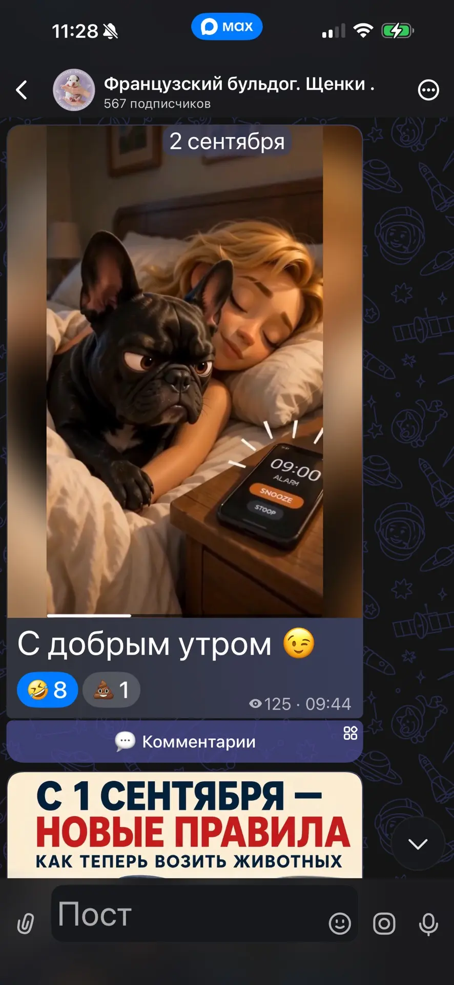 Дорогой какашечный подписчик 💩❤️