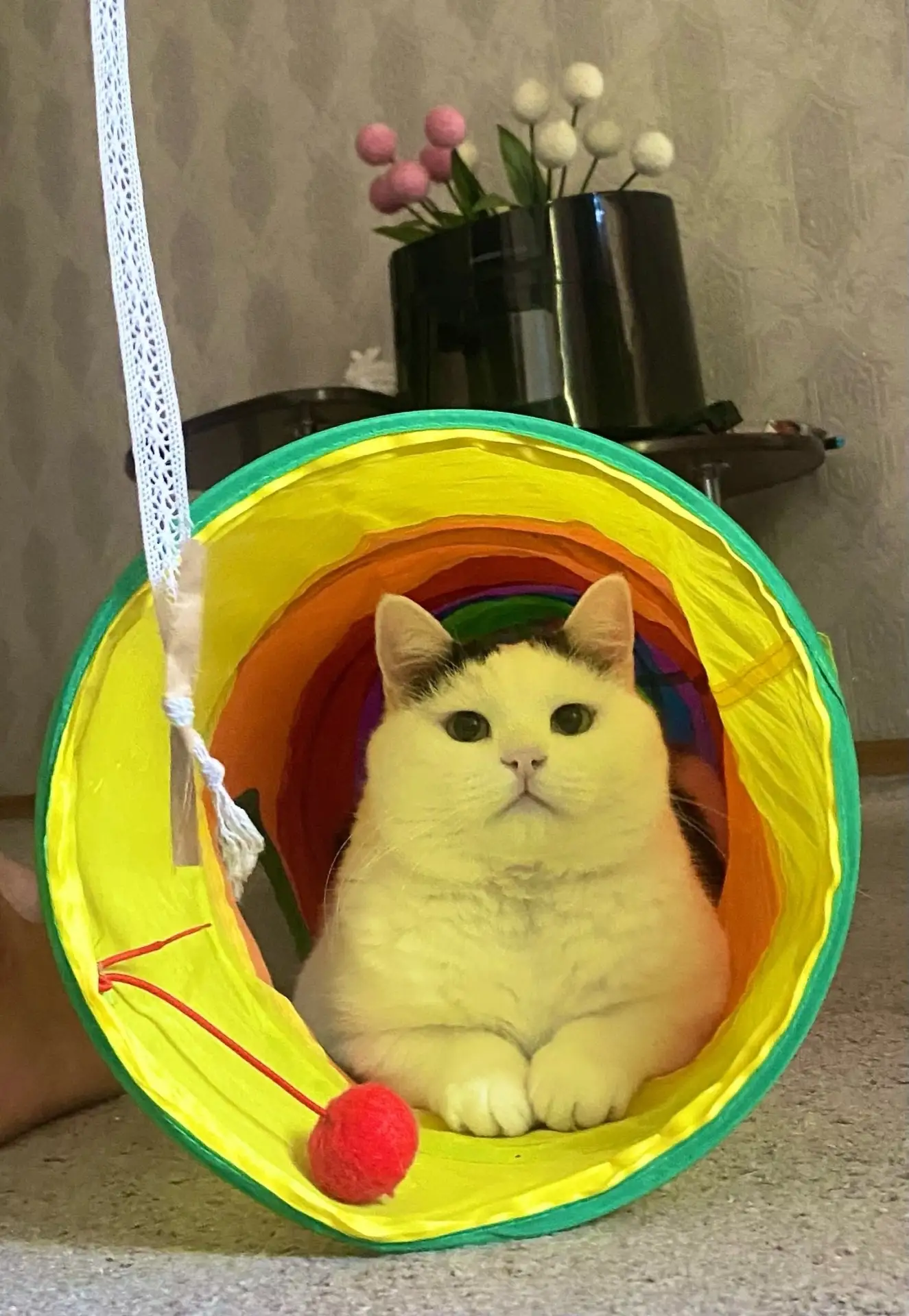 Васенька. ❤️