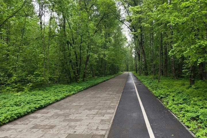 🌳 В «Берёзовой роще» в Великом Новгороде завершают благоустройство.