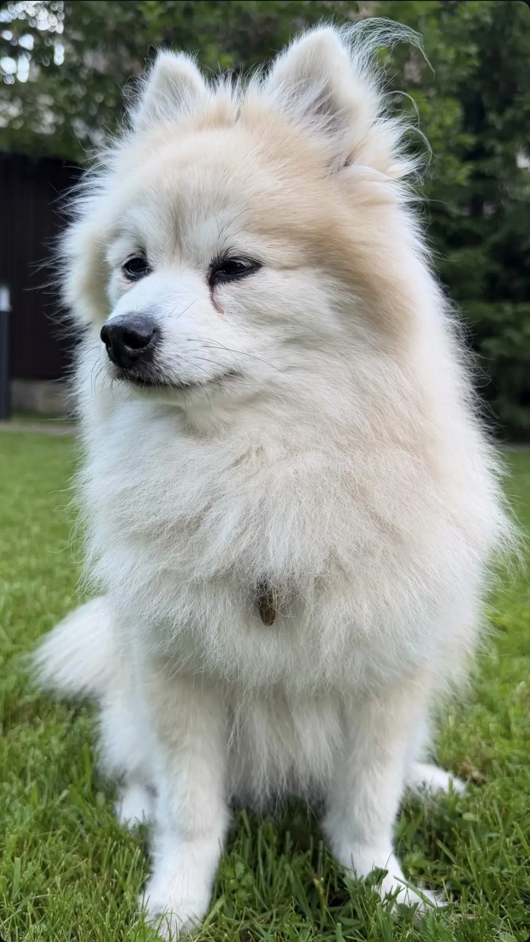 ❤️🥰❤️