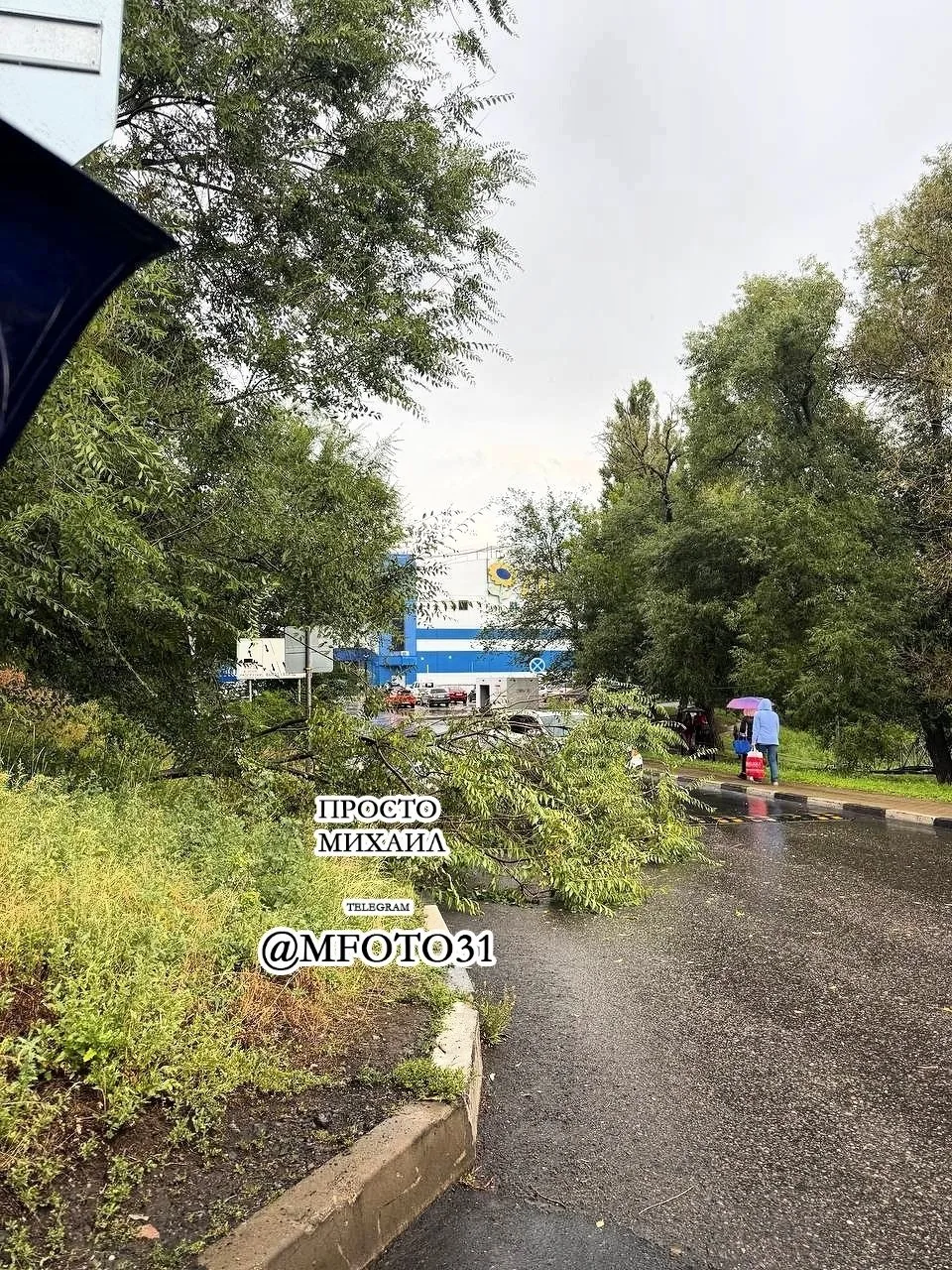 ⛈ Белгород накрыл сильный ливень, есть последствия.