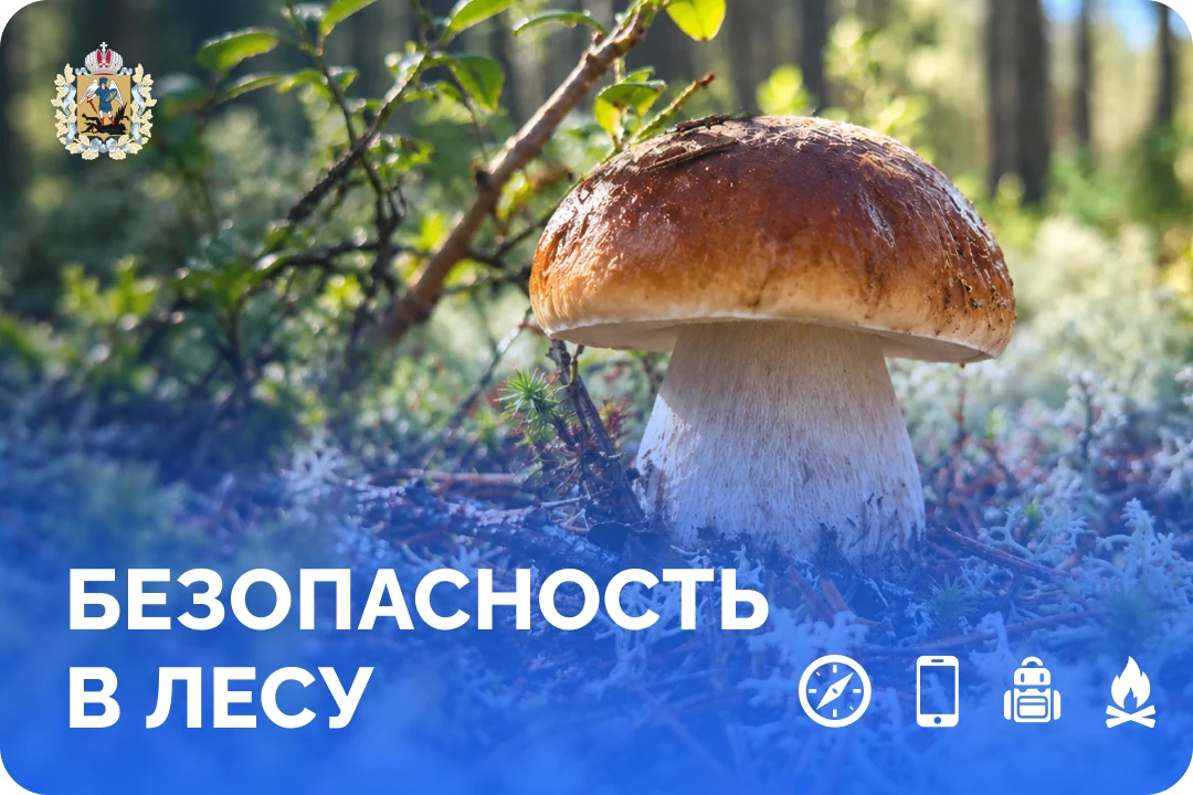 🔶 Собираетесь в лес — подготовьтесь заранее!