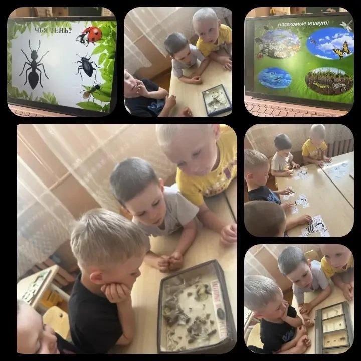 Мир насекомых 🐝🦋🐞🕷️🪰очень интересен, каждое насекомое таит в себе множество удивит...