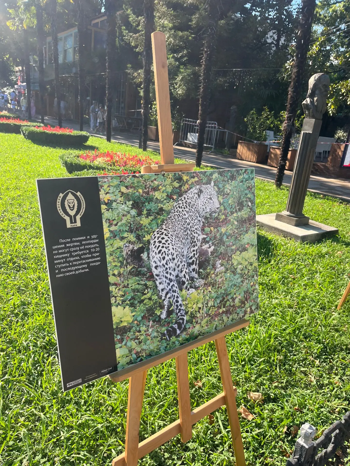 ДЕНЬ 🐆ПЕРЕДНЕАЗИАТСКОГО ЛЕОПАРДА В ПАРКЕ🌴«РИВЬЕРА»

15.07.2026 года работники второго территориаль