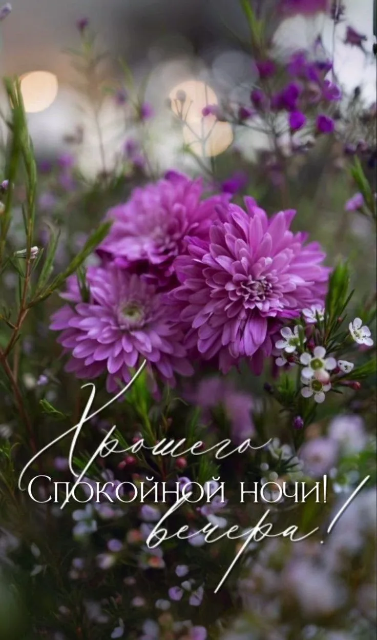 Подпишись 👇
Мои открытки  - МАХ • Открытки • Доброе утро • С днём рождения • Спокойной ночи