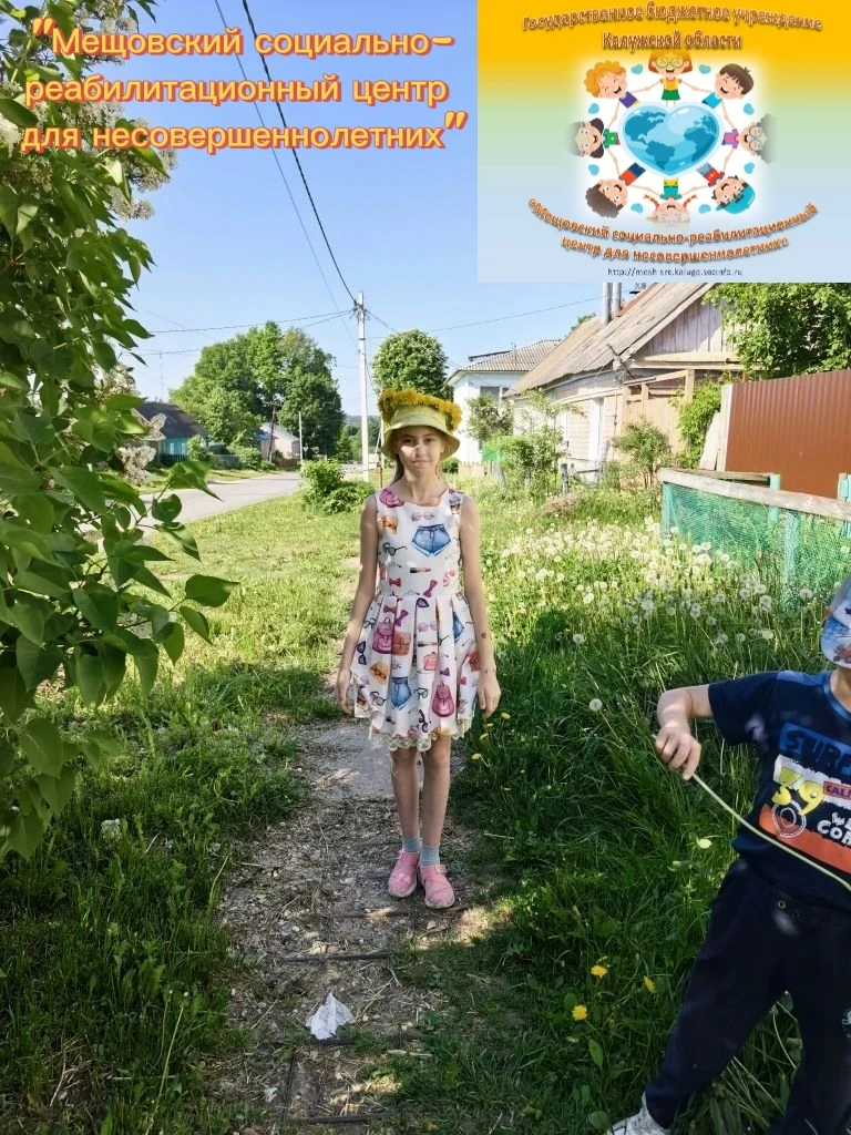 Одуванчики цветы