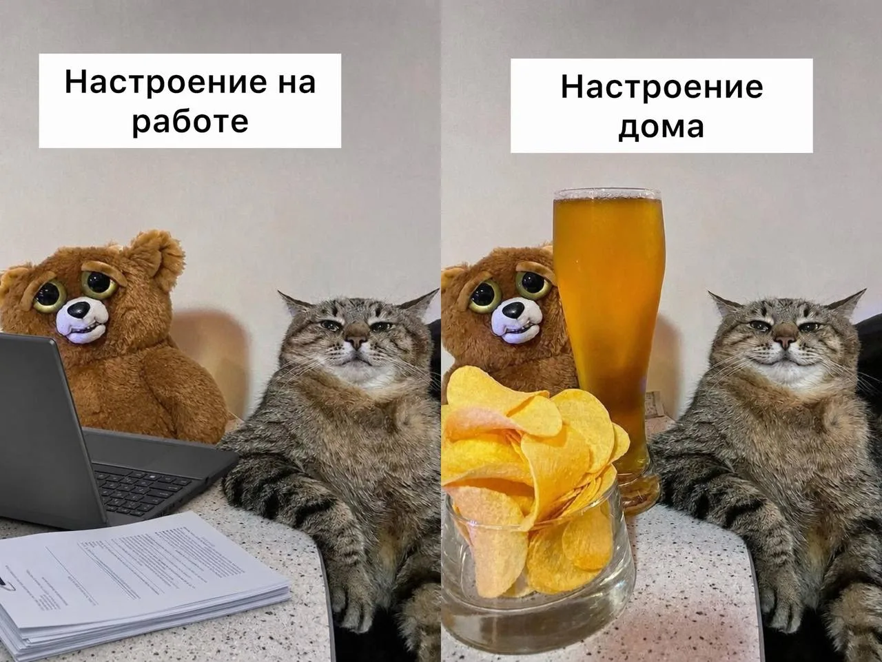 🍺 Сегодня отмечается Международный День пива