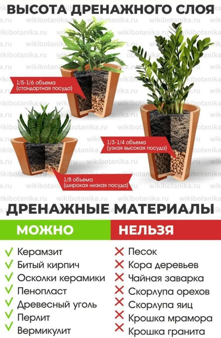 Правильный дренаж для комнатных растений