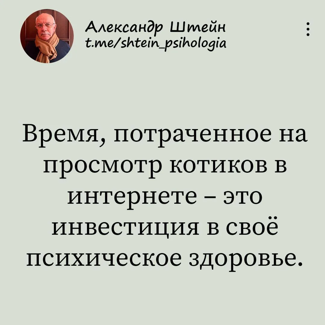 Александр Штейн