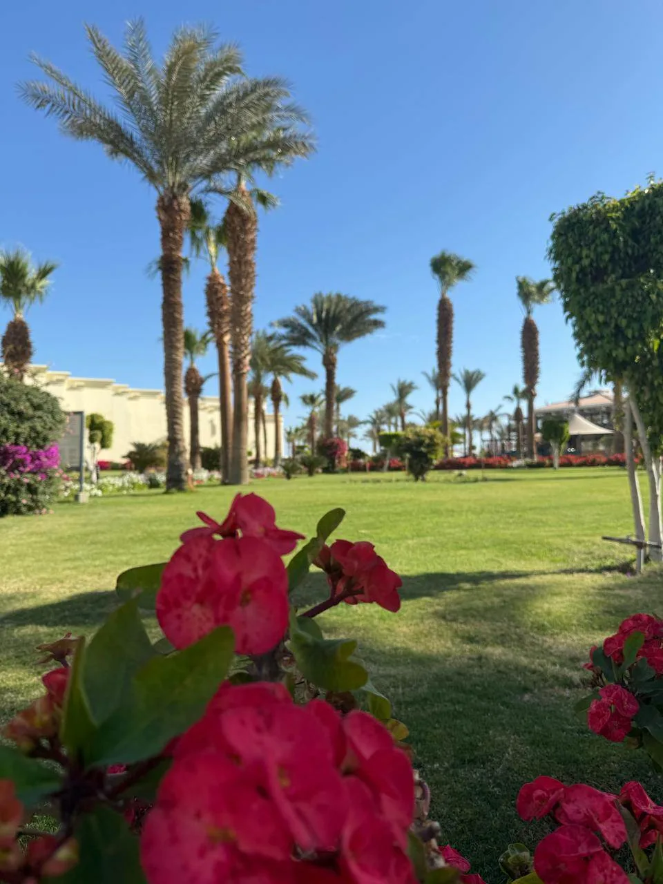 Твой яркий побег из Самары в солнечный ЕГИПЕТ, Шарм-эль-Шейх! 🇪🇬☀️ Здесь тебя ждут кристально чист