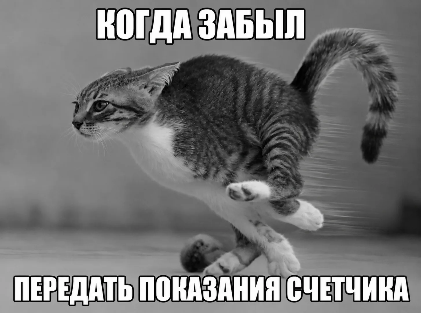 Наша ежемесячная напоминалочка