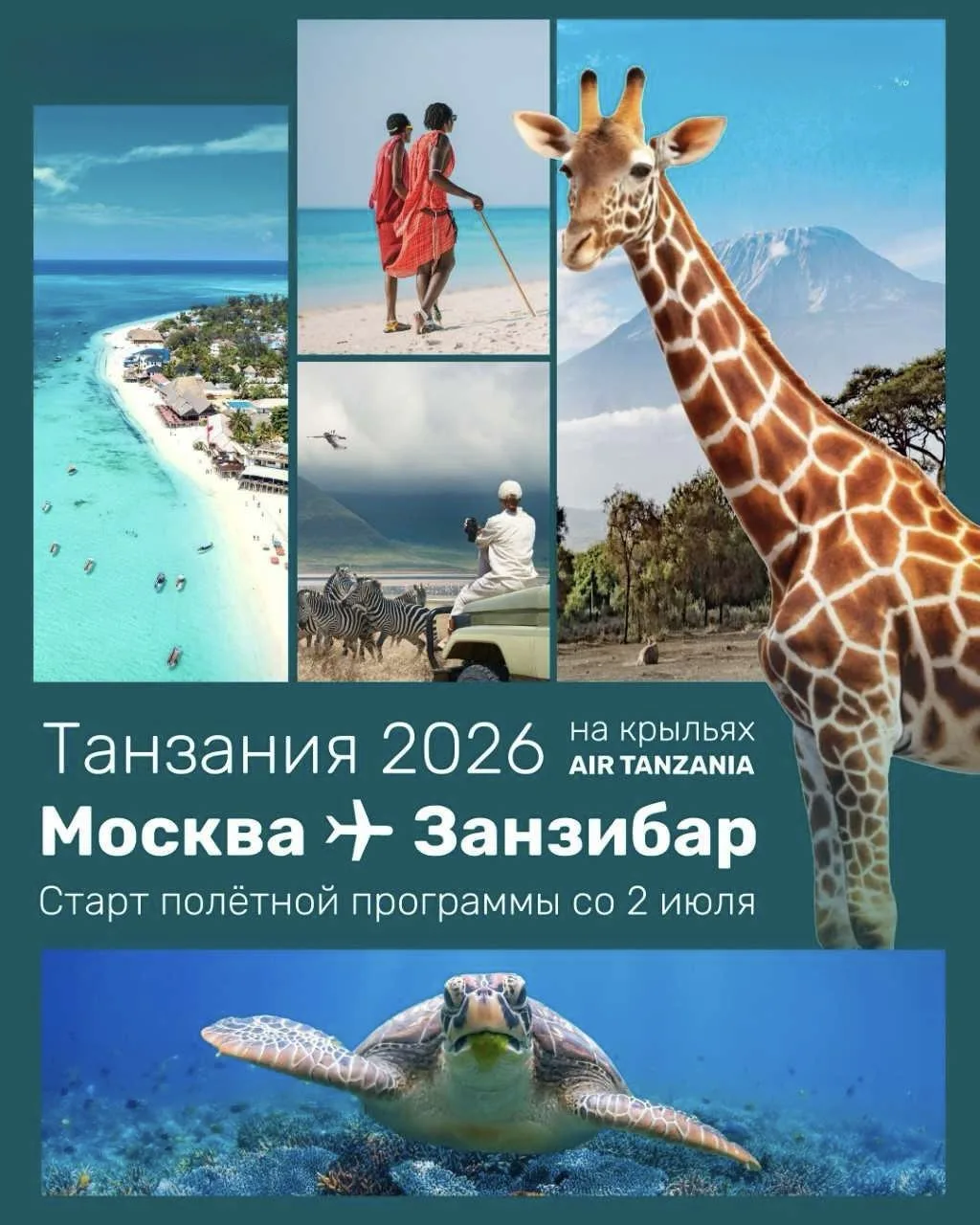 Занзибар стал заметно ближе 🌴✨