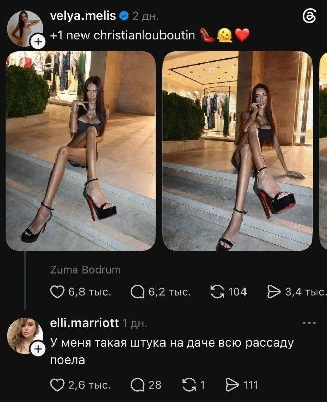 Сказ о том, как Левша блоху подковал