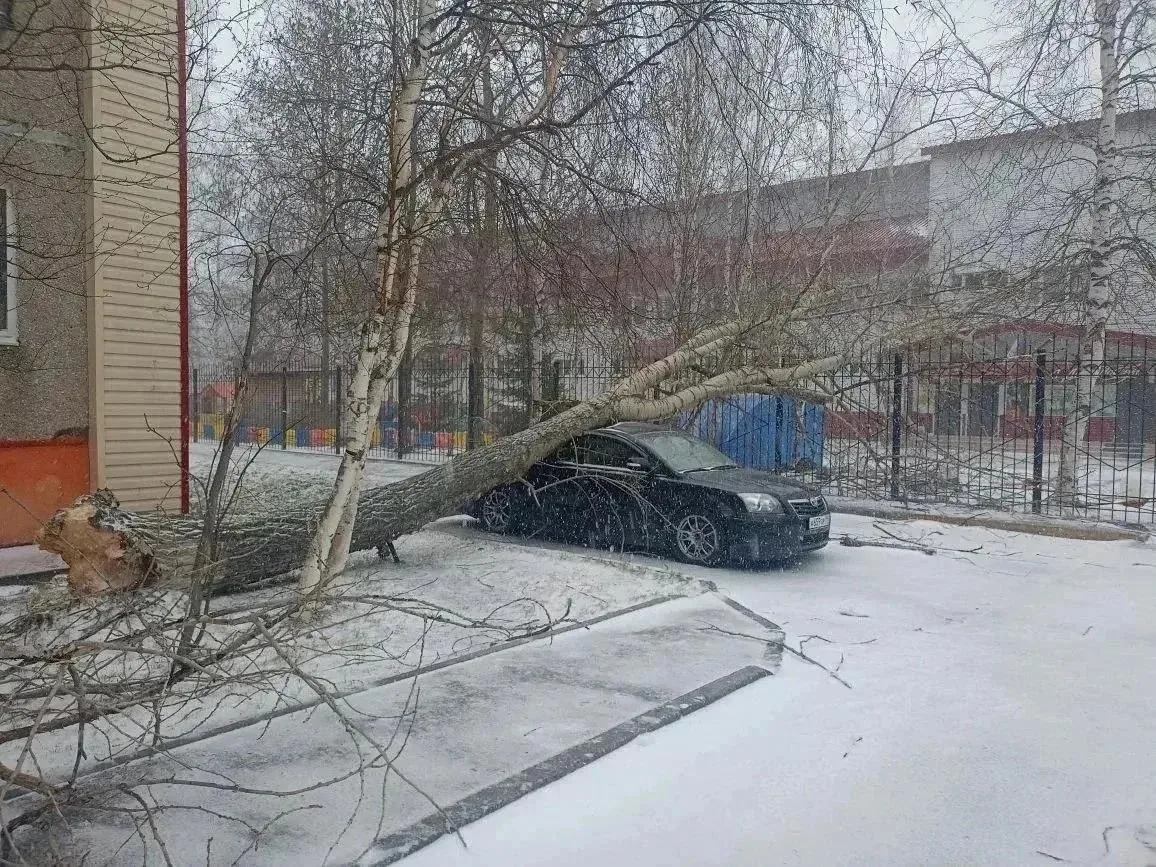 ❗️ В Сургуте от шквального ветра пострадали несколько автомобилей  Аварийные и дорожные службы Сургу