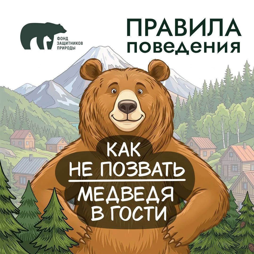 На Дальнем Востоке встречи с бурым медведем – реальность для тысячи людей. От того, как выстроено та