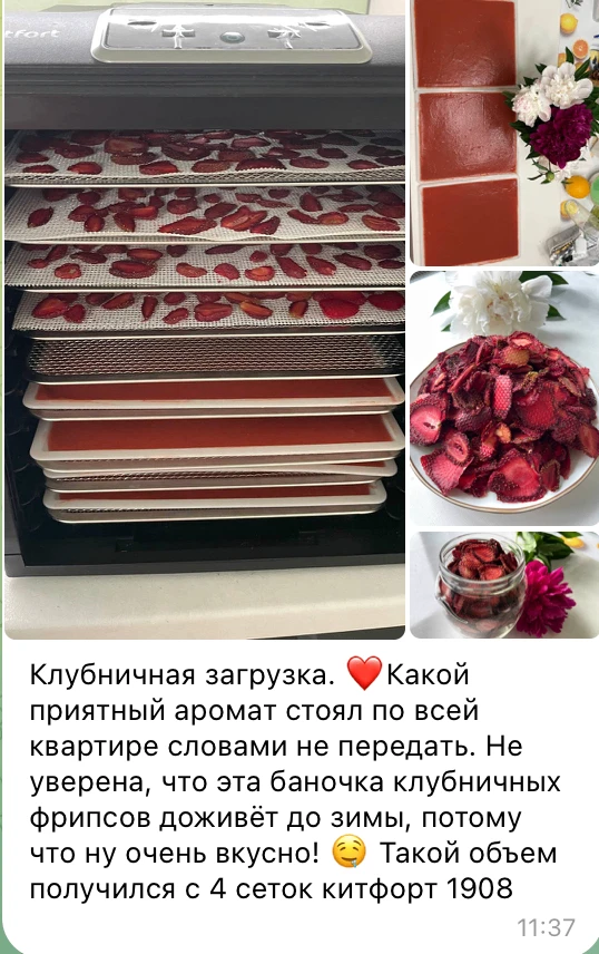 🍓 Работа ученицы 👆

Обратите внимание на цвет фрипсов. 

🔸 У правильно высушенной клубники должен