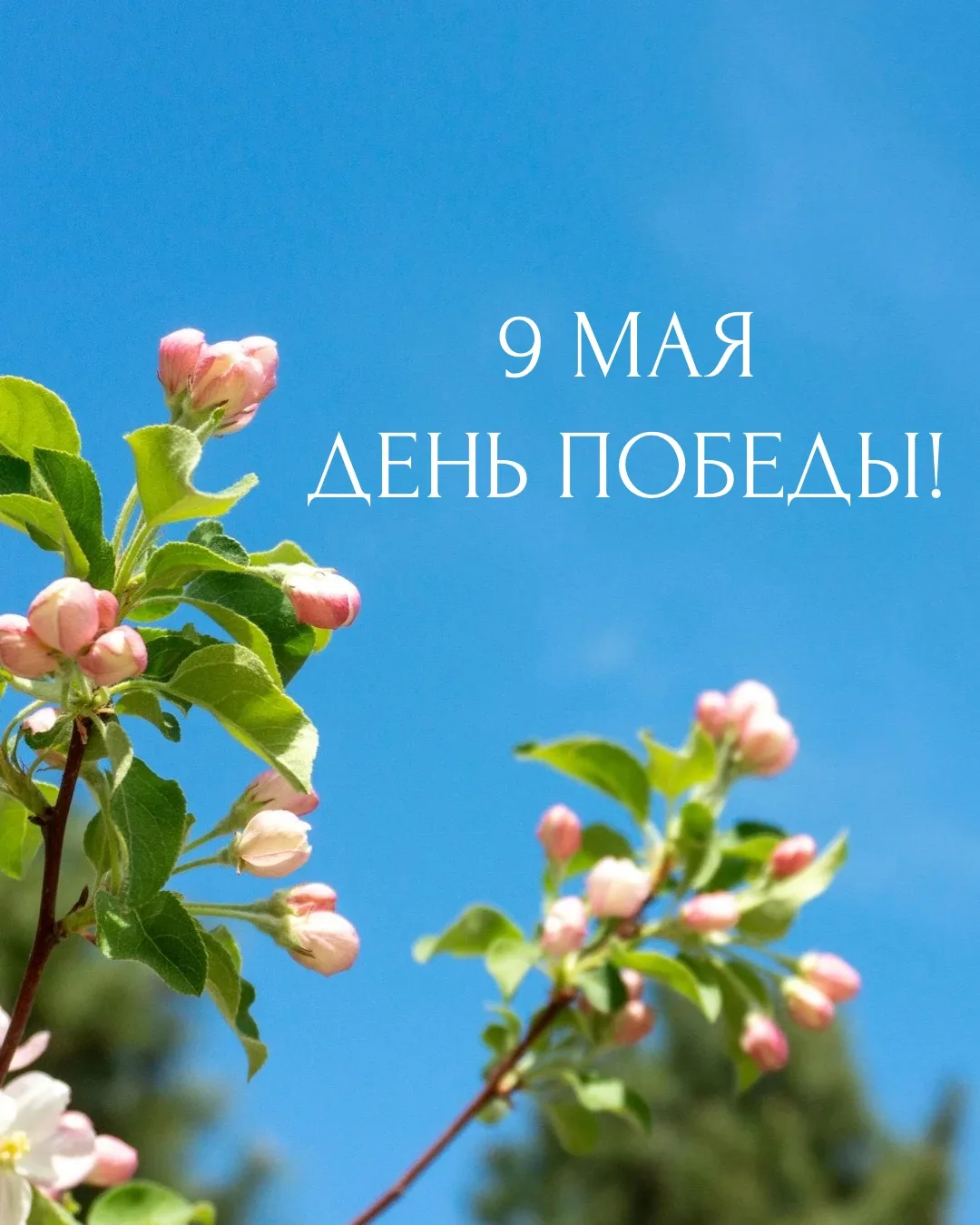 С Днем Великой Победы!  Желаем мира, стабильности, благополучия и уверенности в завтрашнем дне.  Пус