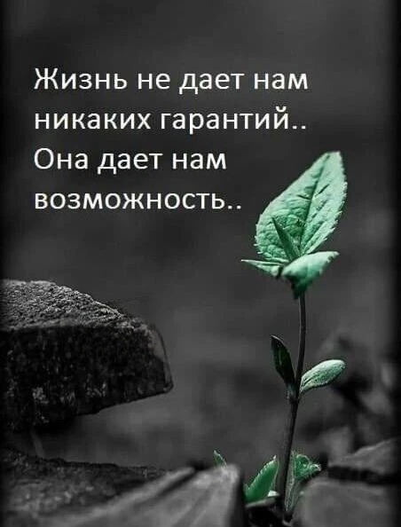 Цитаты жизни