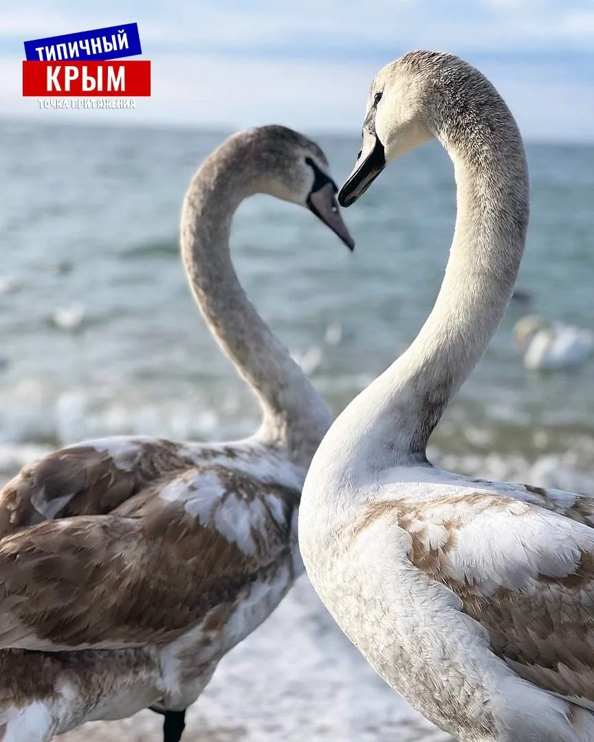 ❤️Доброе утро, Крым