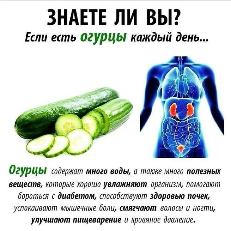 Бесплатное Здоровье 🍎