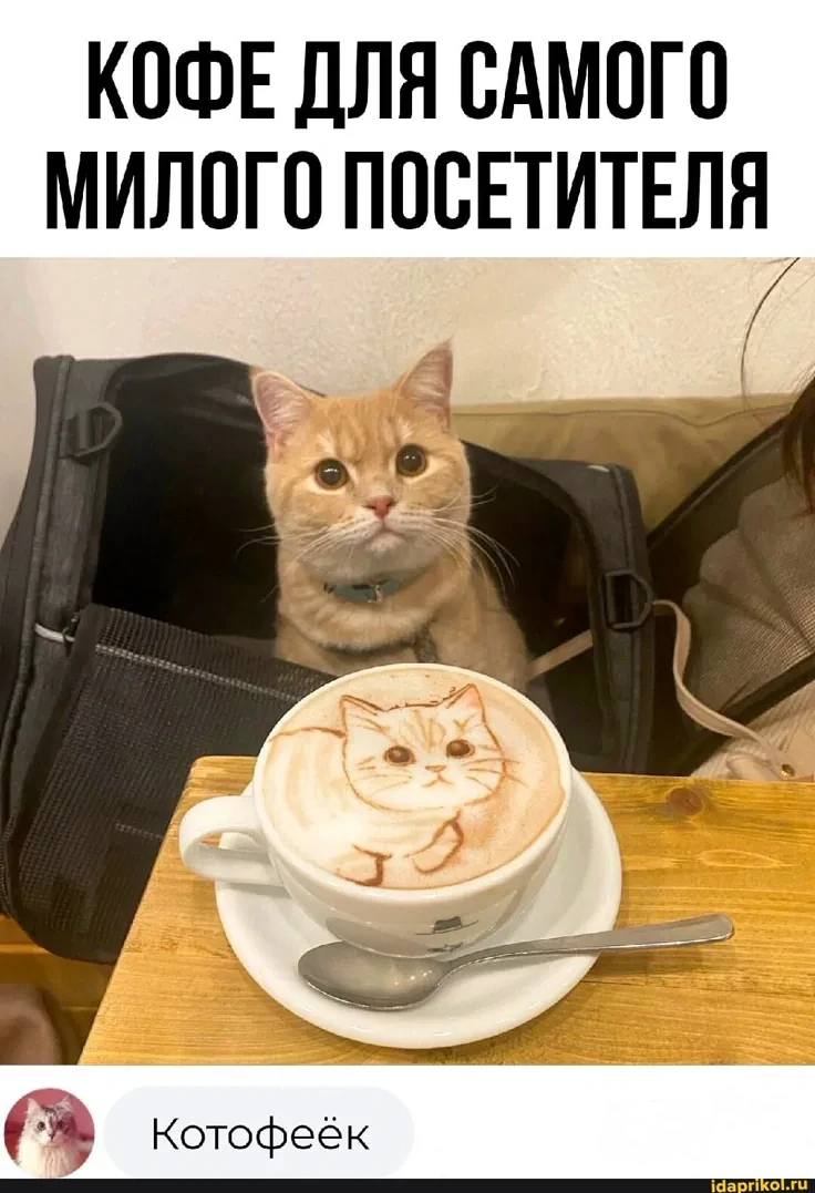 БЛЫМ-БЛЫМ
- Ауууу!!! *блым-блым* Ауууу!! *блым-блым* Тама хто-нить есть???? Мне скущня.*блым-блым*
-
