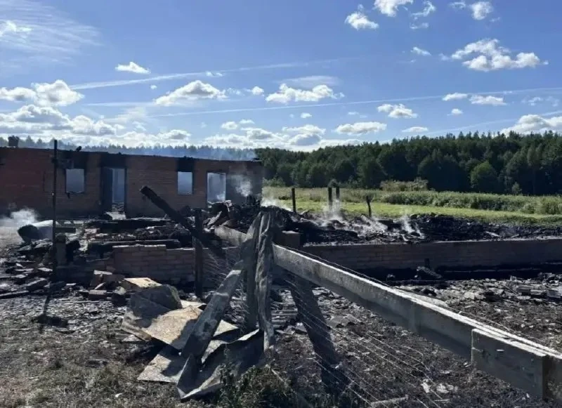 В поселке Семеновка Темниковского района Мордовии произошел пожар на территории, принад...