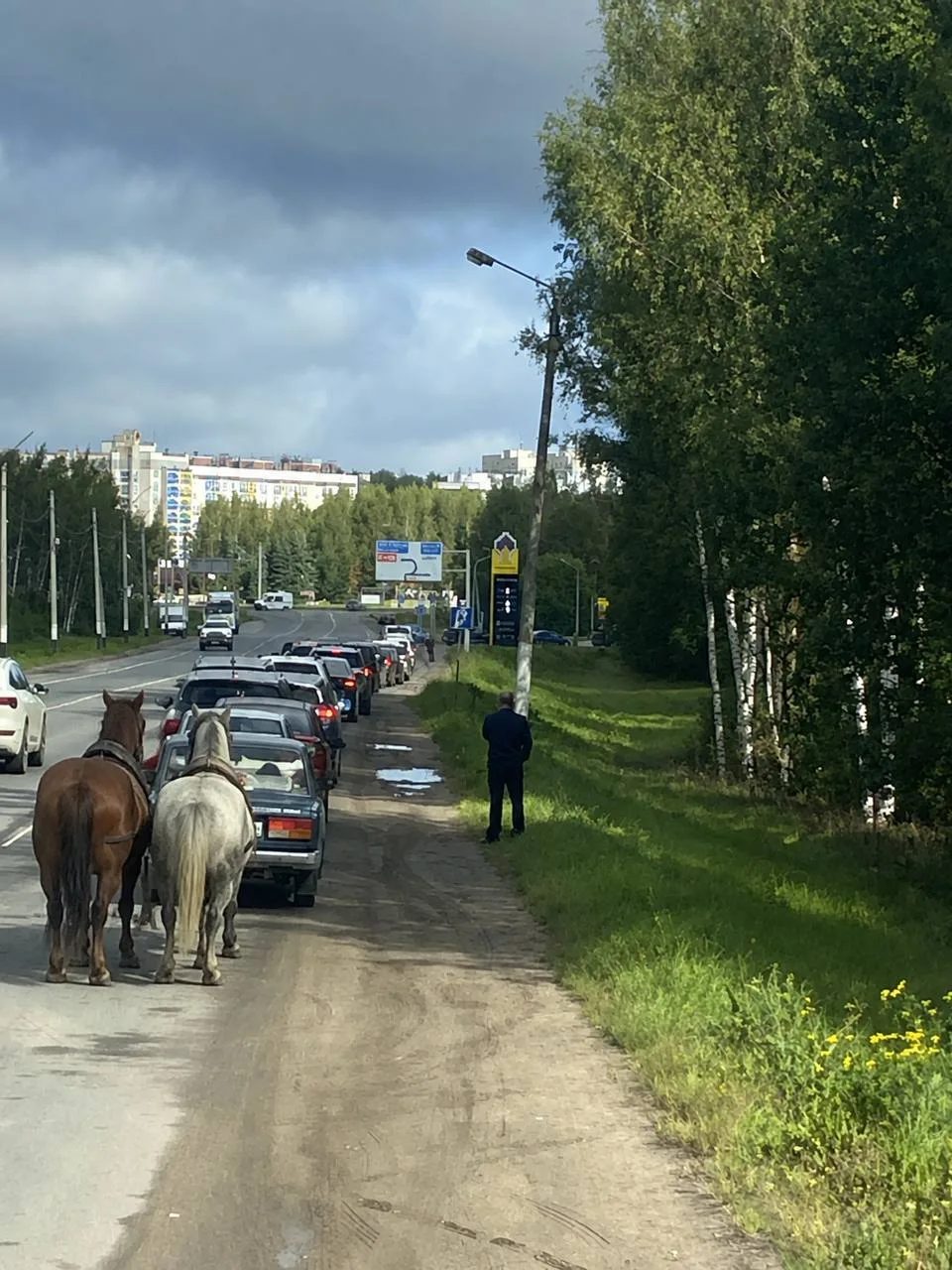 Лошади теперь тоже на бензине в очереди стоят
