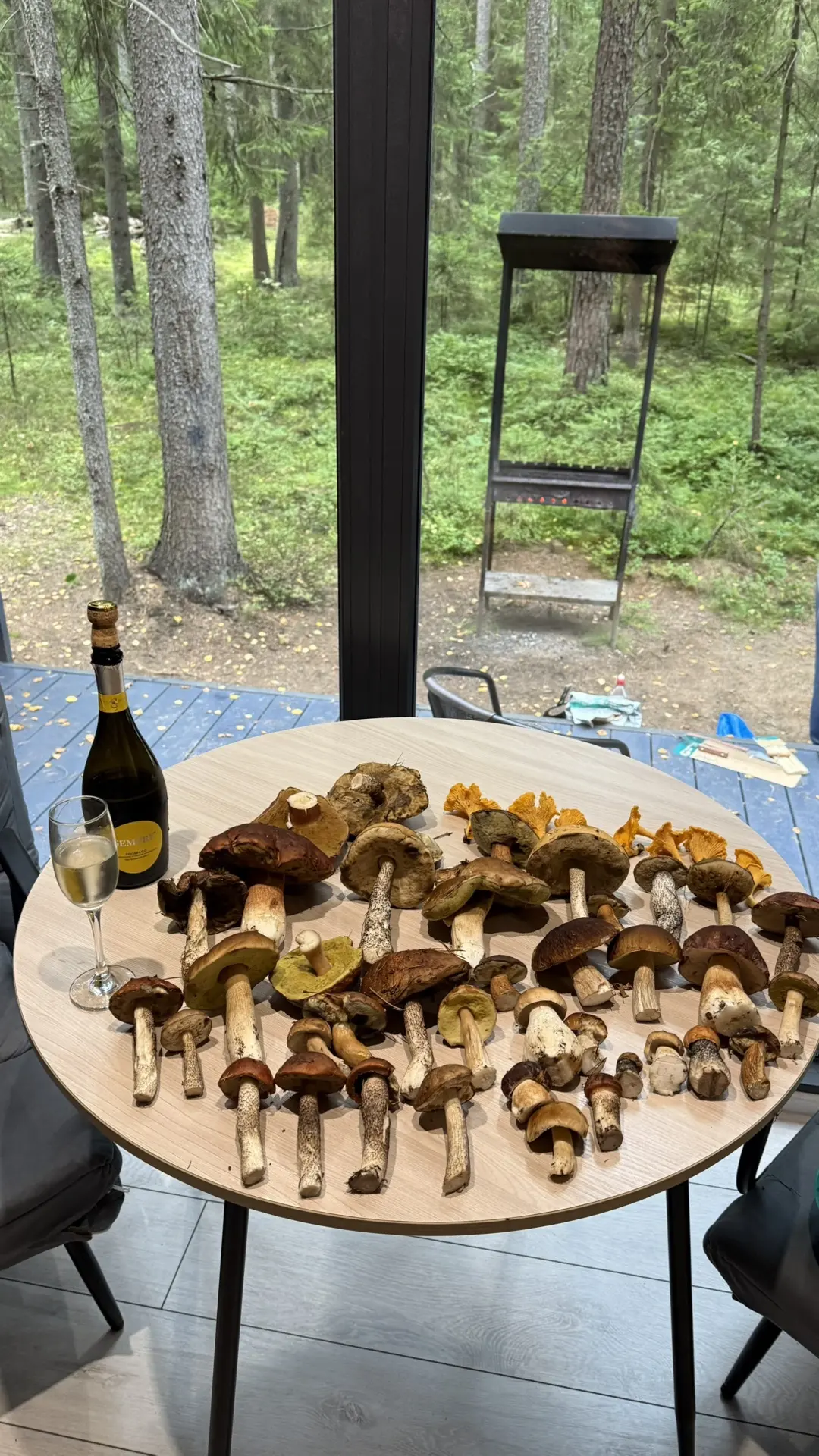 Грибной сезон в разгаре 🍄‍🟫🍄‍🟫🍄‍🟫